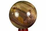 Colorful Petrified Wood Sphere - Madagascar #169141-1